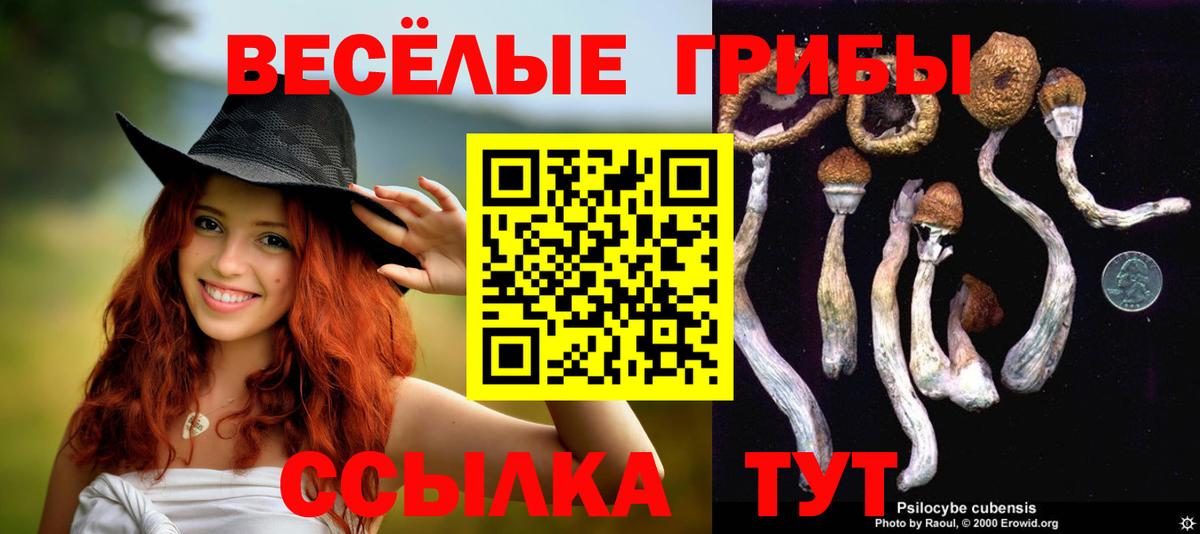 Псилоцибиновые грибы Psilocybe Сатка